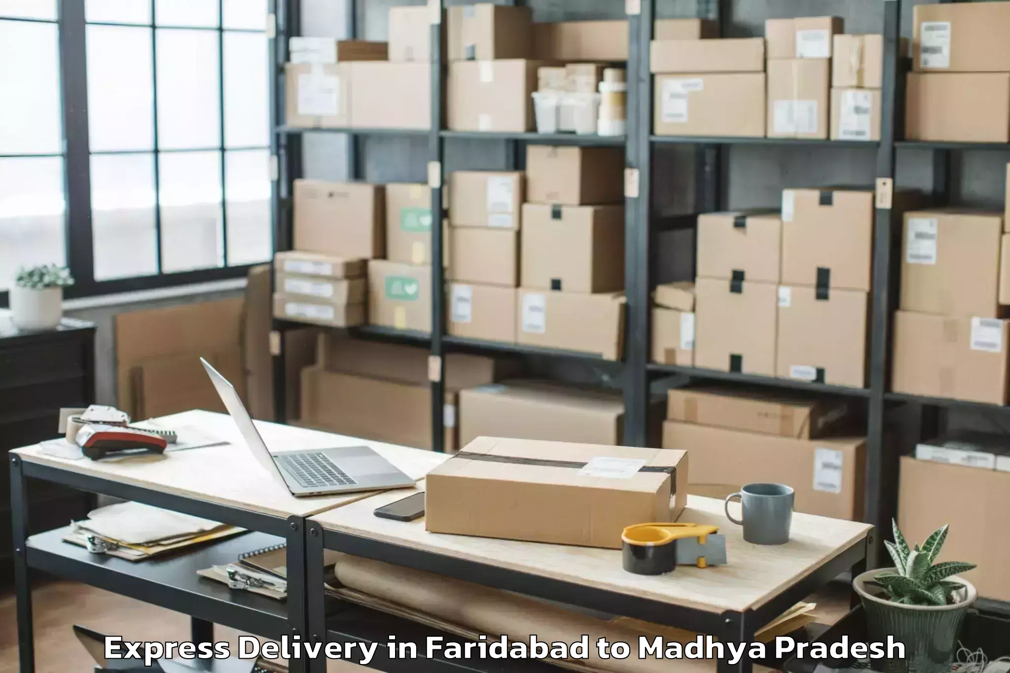 Top Faridabad to Nalkheda Express Delivery Available